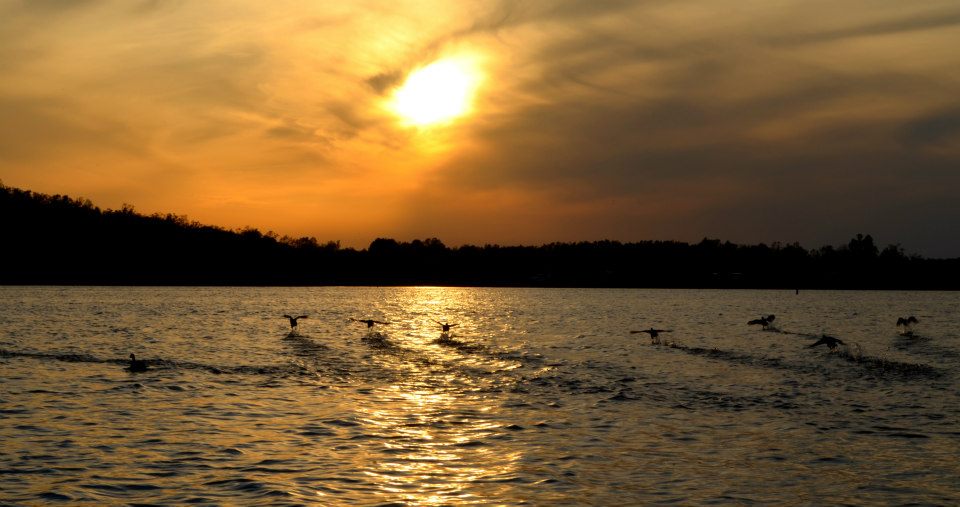 407026_10201188073850608_1010347592_n