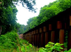 10430503_10204252756665763_7087026827087064928_n