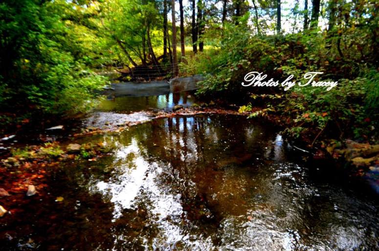 1374968_10202334195742939_1188892026_n