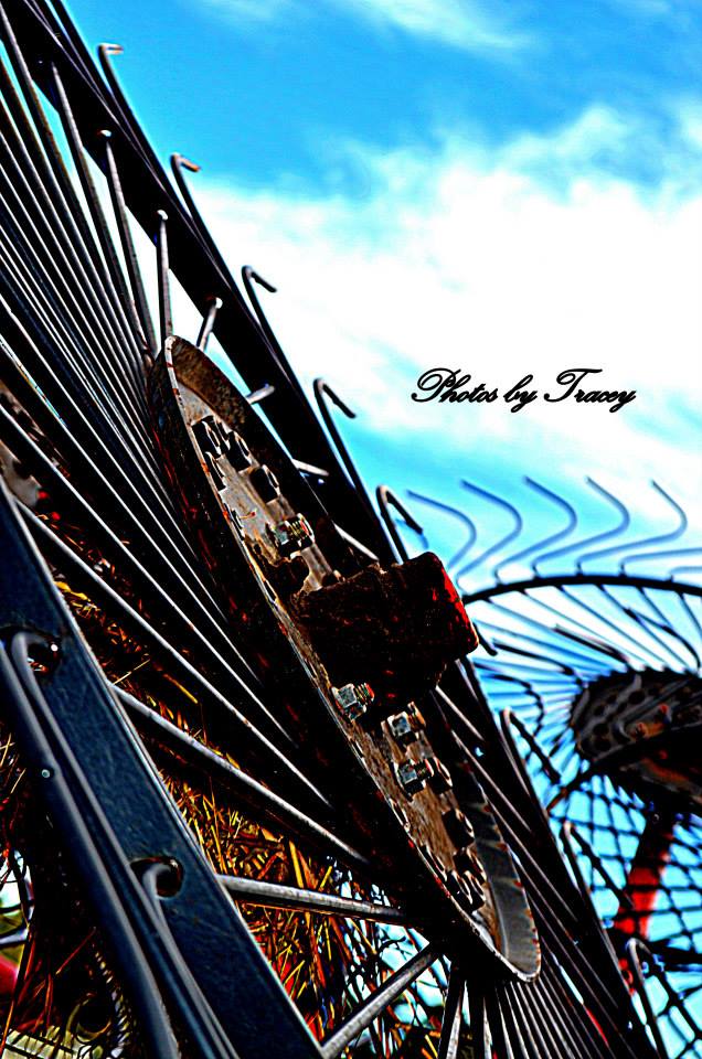 1378204_10202334200903068_651022725_n