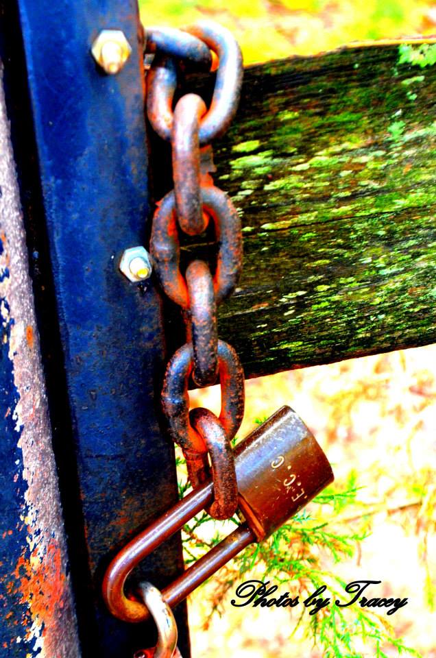 1385207_10202334197782990_1829883972_n