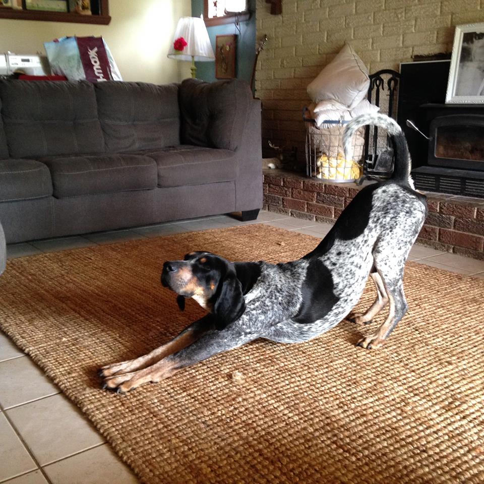 12987026_10209770248199603_3313537509842886130_n - Copy