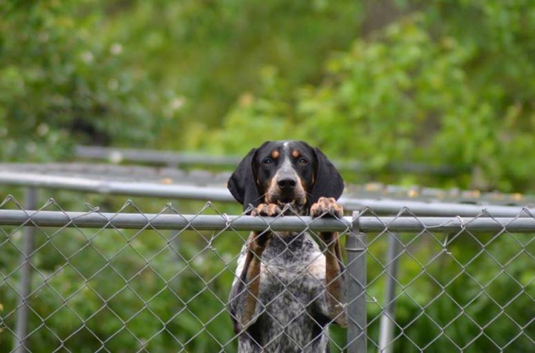 19396984_10214052718058673_6761842725271749094_n